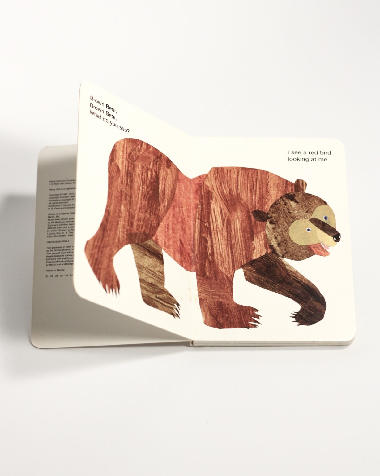 Brown Bear, Brown Bear, What Do You See? - Зображення 2